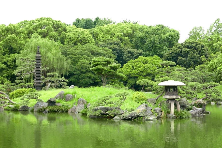 A traditional Korean style garden.