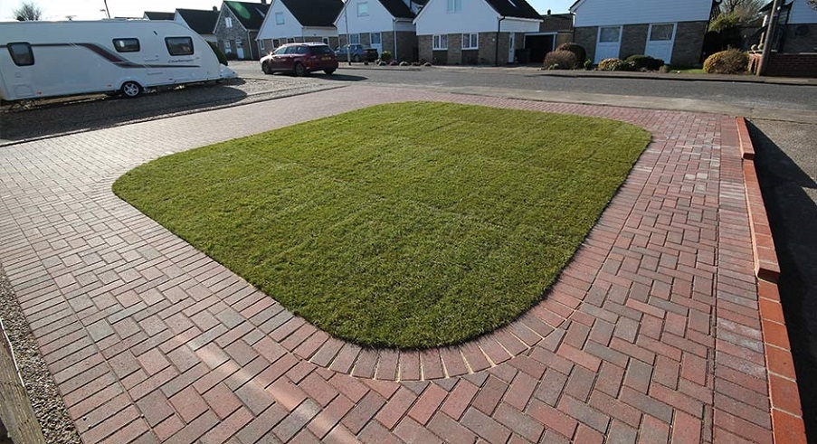 A patch of green lawn on a driveway