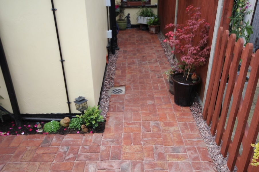 A path we installed through a garden with a plant you may find in a zen garden.