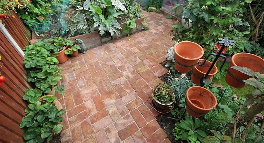 A paved pathway through a small garden