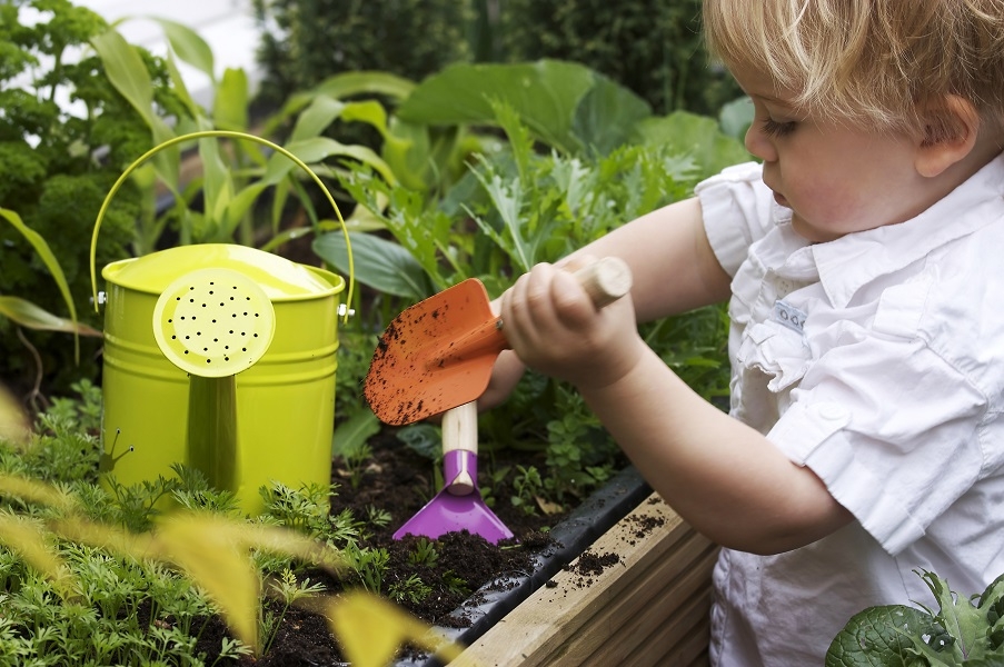 A toddler tending a vegetable patch