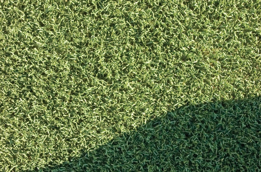 a close up of astroturf