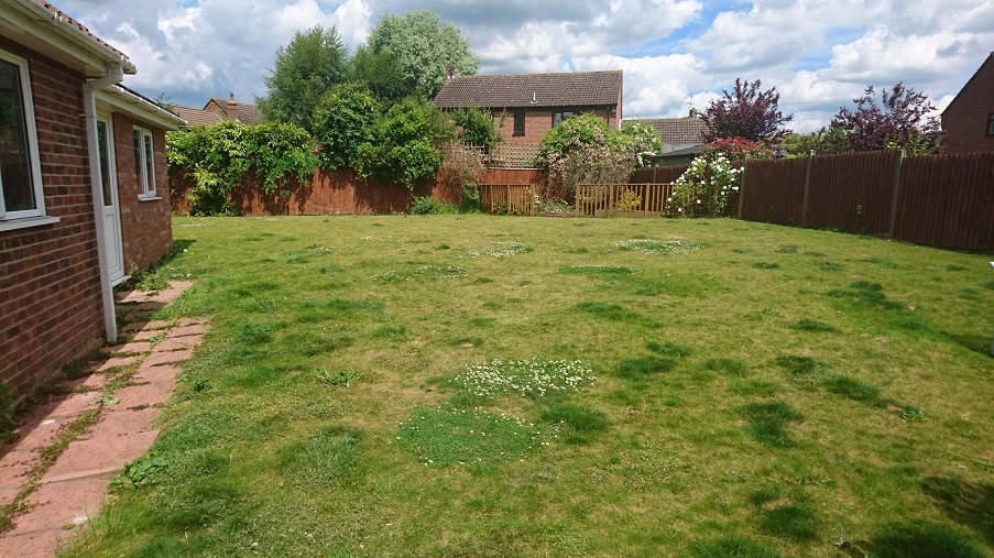 Case study of a garden transformation - before picture