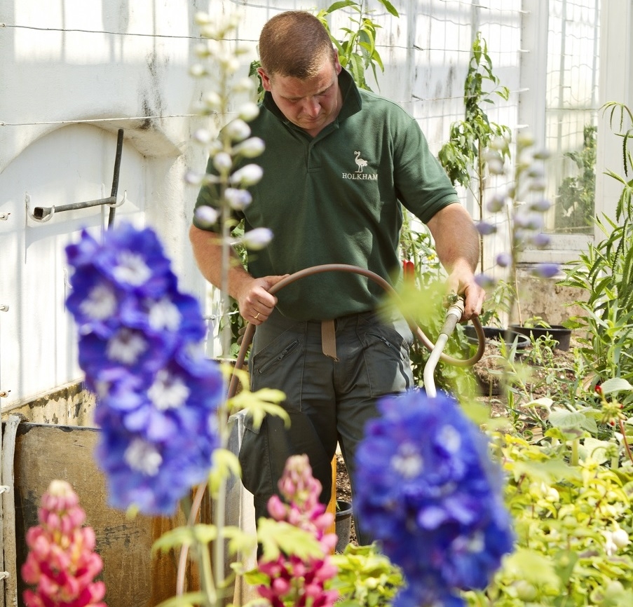 A man watering plants wearing Holkham Hall uniform