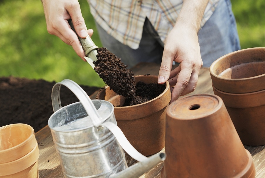 Putting soil into a plant pot