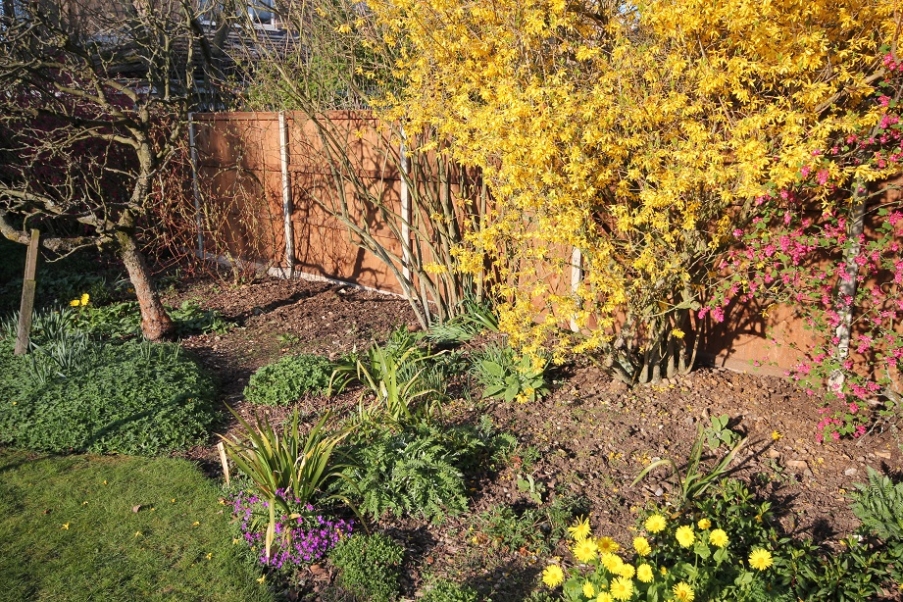 Flower beds thriving with colourful plants.