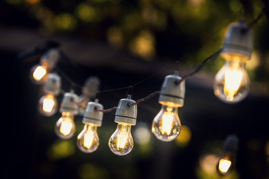 Rope lighting in a garden.